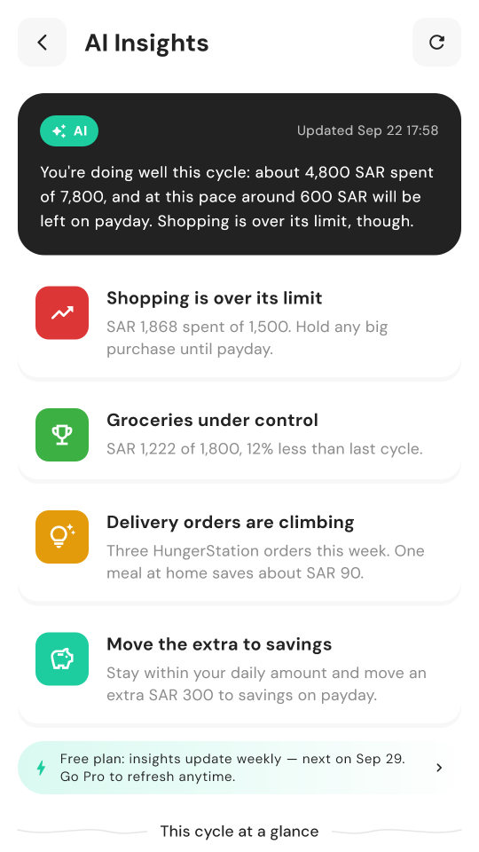 Mowzoon AI Insights: a summary of the salary cycle and cards such as “Shopping is over its limit” and “Groceries under control”